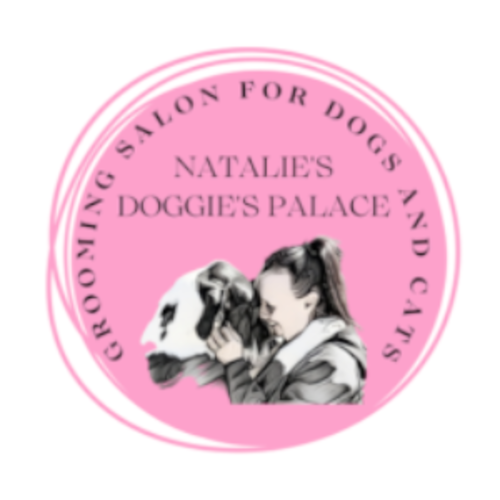 Website Logo